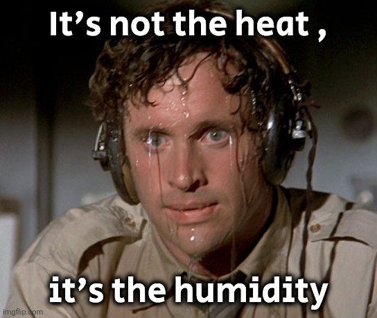 Sweating on commute after jiu-jitsu | It's not the heat , it's the humidity | image tagged in sweating on commute after jiu-jitsu | made w/ Imgflip meme maker