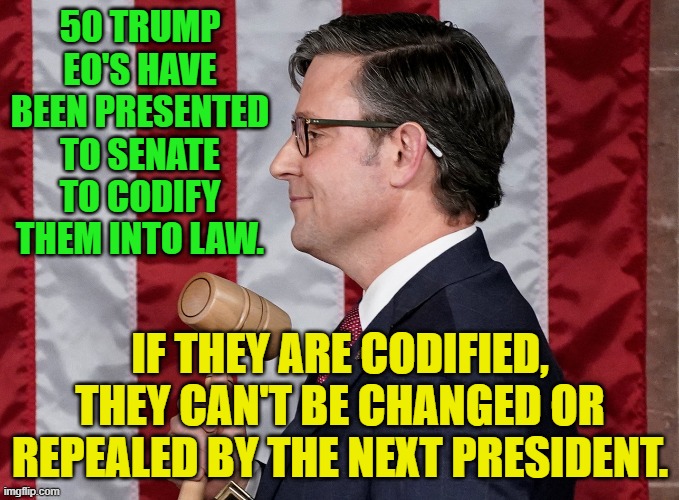 Mike Johnson | 50 TRUMP EO'S HAVE BEEN PRESENTED TO SENATE TO CODIFY THEM INTO LAW. IF THEY ARE CODIFIED, THEY CAN'T BE CHANGED OR REPEALED BY THE NEXT PRESIDENT. | image tagged in mike johnson | made w/ Imgflip meme maker