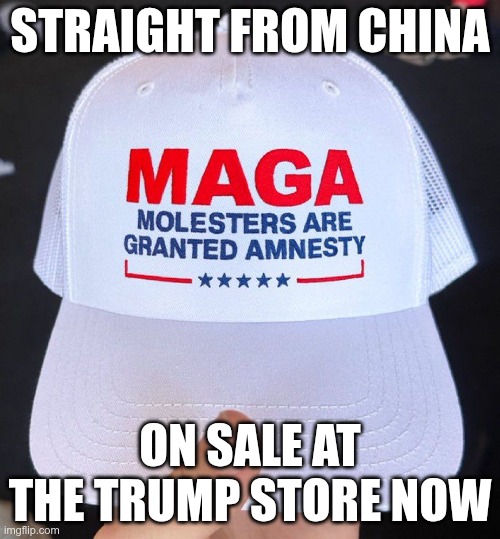 Defenders of Pedophiles | STRAIGHT FROM CHINA; ON SALE AT THE TRUMP STORE NOW | image tagged in trump,gop,maga,nazis,fascists,pedophiles | made w/ Imgflip meme maker