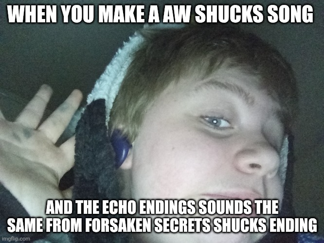 Is this for real!!! | WHEN YOU MAKE A AW SHUCKS SONG; AND THE ECHO ENDINGS SOUNDS THE SAME FROM FORSAKEN SECRETS SHUCKS ENDING | image tagged in awshucksfnf,real | made w/ Imgflip meme maker