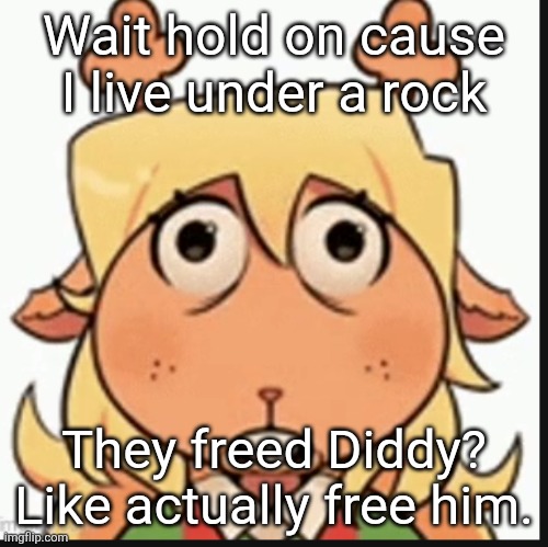 Erm what the hell? | Wait hold on cause I live under a rock; They freed Diddy? Like actually free him. | image tagged in erm what the hell | made w/ Imgflip meme maker