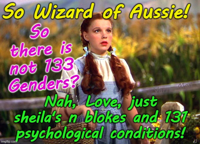 Dorothy to the Wizard of Aussie, so there are not 133 genders? | So Wizard of Aussie! So there is not 133 Genders? Yarra Man; Nah, Love, just sheila's n blokes and 131 psychological conditions! | image tagged in meanwhile in australia,virtue signaling self gratification by proxy woke,far left,progressive insanity,labor labour democrat | made w/ Imgflip meme maker