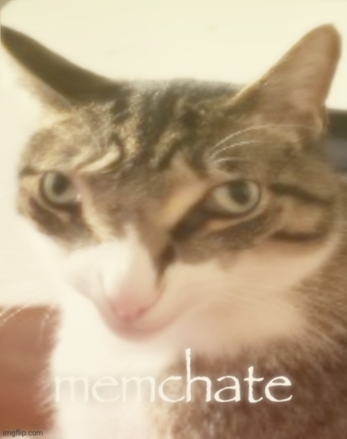 memchate | image tagged in memchate | made w/ Imgflip meme maker