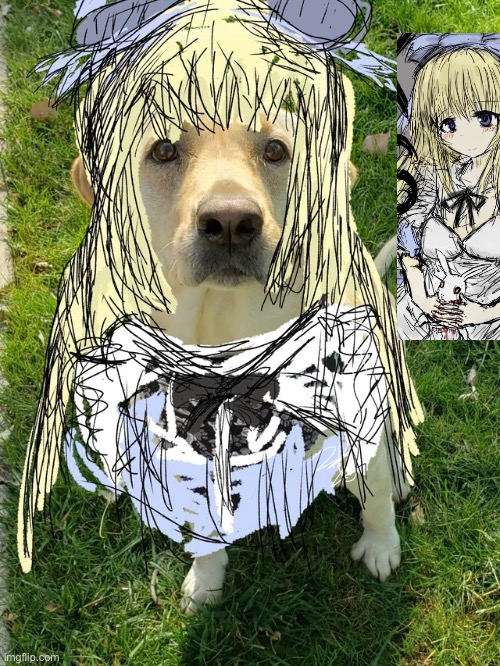 Somebody’s dog as alice | image tagged in black souls,going to alice,do not let red hood see this,memes,shitpost | made w/ Imgflip meme maker