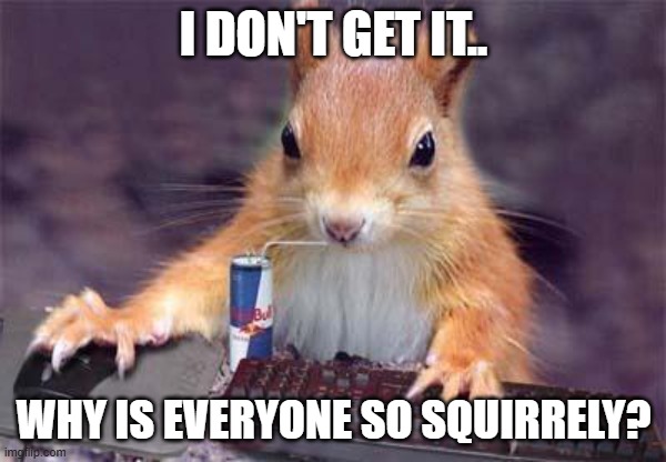 Gamer | I DON'T GET IT.. WHY IS EVERYONE SO SQUIRRELY? | image tagged in gamer chipmunk,gamer,cool gamer,uber cool,no sweat | made w/ Imgflip meme maker