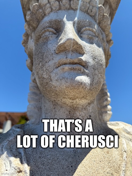 Roman | THAT’S A LOT OF CHERUSCI | image tagged in history | made w/ Imgflip meme maker