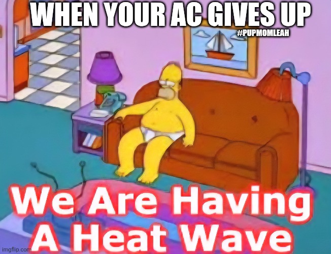 Ac goes out! | WHEN YOUR AC GIVES UP; #PUPMOMLEAH | made w/ Imgflip meme maker