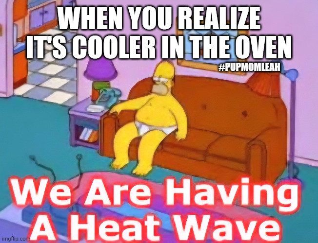 We are having a heatwave! | WHEN YOU REALIZE IT'S COOLER IN THE OVEN; #PUPMOMLEAH | made w/ Imgflip meme maker
