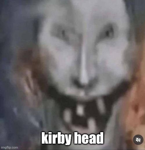 it would go insane | kirby head | image tagged in crackler | made w/ Imgflip meme maker