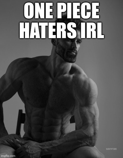 Giga Chad | ONE PIECE HATERS IRL | image tagged in giga chad | made w/ Imgflip meme maker