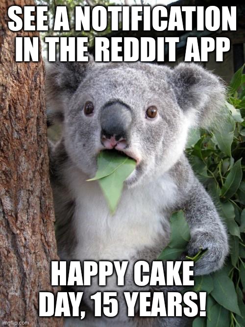 Surprised Koala Meme | SEE A NOTIFICATION IN THE REDDIT APP; HAPPY CAKE DAY, 15 YEARS! | image tagged in memes,surprised koala | made w/ Imgflip meme maker