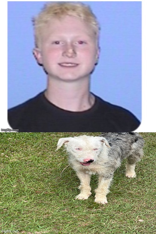 The hell even is this | made w/ Imgflip meme maker