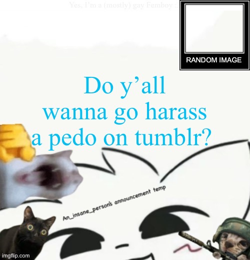 My lil announcement | Do y’all wanna go harass a pedo on tumblr? | image tagged in my lil announcement | made w/ Imgflip meme maker