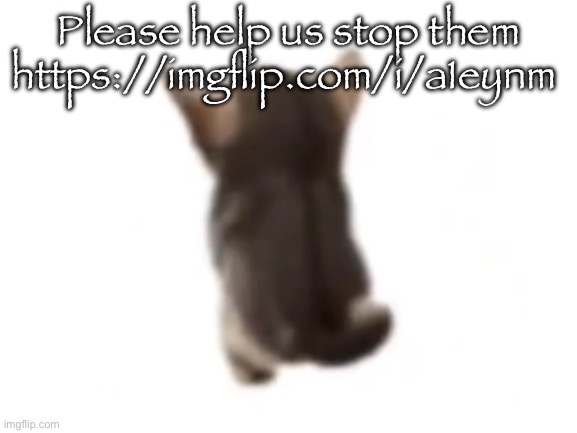 These people have gone too far | Please help us stop them https://imgflip.com/i/a1eynm | image tagged in el gatito | made w/ Imgflip meme maker