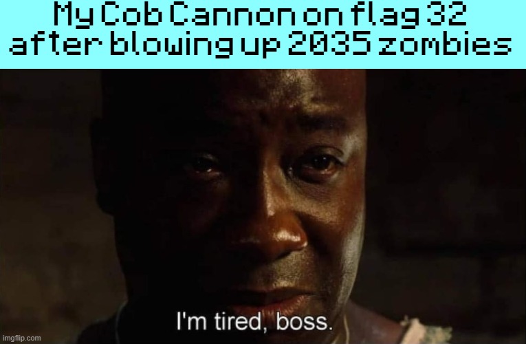 I'm tired boss | My Cob Cannon on flag 32 after blowing up 2035 zombies | image tagged in i'm tired boss | made w/ Imgflip meme maker