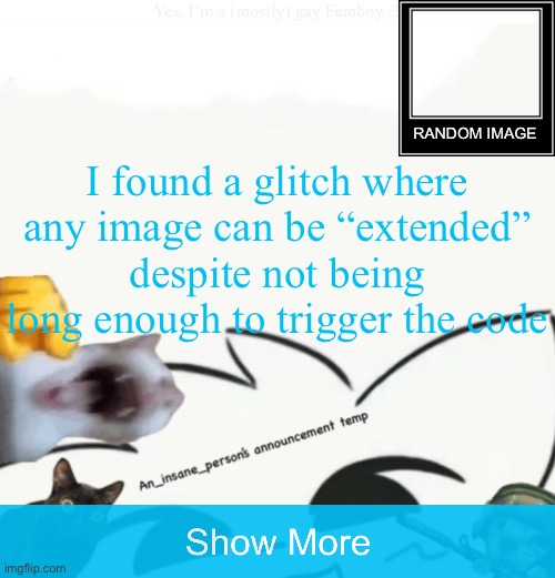 My lil announcement | I found a glitch where any image can be “extended” despite not being long enough to trigger the code | image tagged in my lil announcement | made w/ Imgflip meme maker