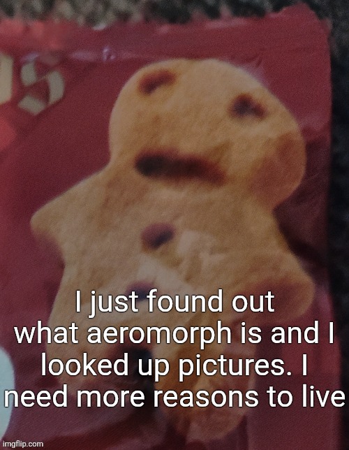 Cookie | I just found out what aeromorph is and I looked up pictures. I need more reasons to live | image tagged in cookie | made w/ Imgflip meme maker