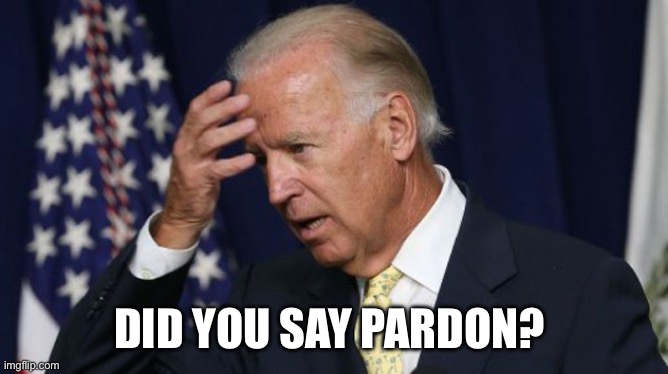 Joe Biden worries | DID YOU SAY PARDON? | image tagged in joe biden worries | made w/ Imgflip meme maker