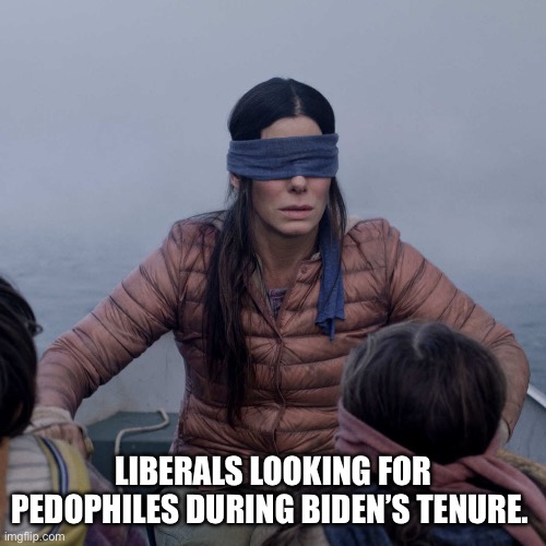 Bird Box Meme | LIBERALS LOOKING FOR PEDOPHILES DURING BIDEN’S TENURE. | image tagged in memes,bird box | made w/ Imgflip meme maker
