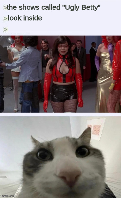 image tagged in ugly betty,nerdy,cat looks inside | made w/ Imgflip meme maker