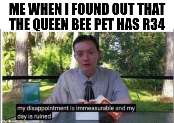 if you're confused, queen bee pet is from grow a garden. | ME WHEN I FOUND OUT THAT THE QUEEN BEE PET HAS R34 | image tagged in my dissapointment is immeasurable and my day is ruined | made w/ Imgflip meme maker