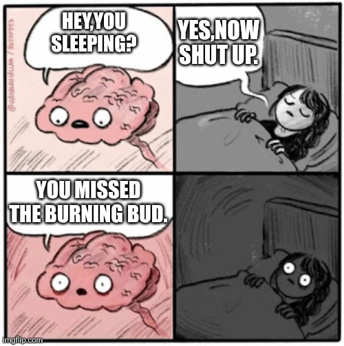 Geuss I will wait | YES,NOW SHUT UP. HEY,YOU SLEEPING? YOU MISSED THE BURNING BUD. | image tagged in brain before sleep | made w/ Imgflip meme maker