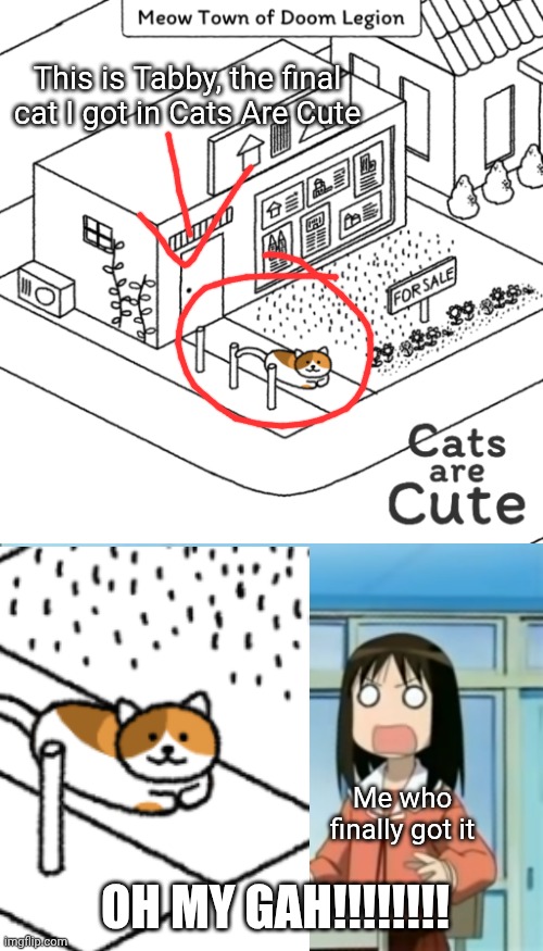 Something I achieved at last | This is Tabby, the final cat I got in Cats Are Cute; Me who finally got it; OH MY GAH!!!!!!!! | image tagged in oh my gah,cats,cats are awesome | made w/ Imgflip meme maker