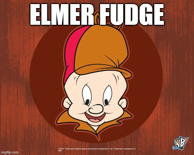 Elmer Fudge | ELMER FUDGE | image tagged in elmer fudd head | made w/ Imgflip meme maker