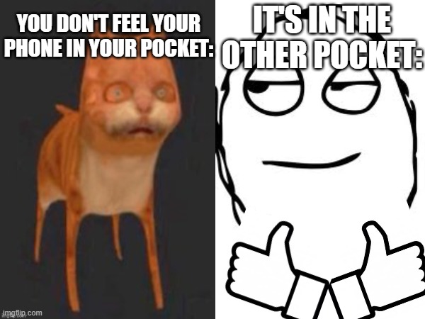 accurate | YOU DON'T FEEL YOUR PHONE IN YOUR POCKET:; IT'S IN THE OTHER POCKET: | image tagged in garfield,phone | made w/ Imgflip meme maker