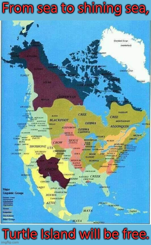 Solidarity with our Palestinian cousins. | From sea to shining sea, Turtle Island will be free. | image tagged in native american,history of the world,united states,israel,oppression | made w/ Imgflip meme maker