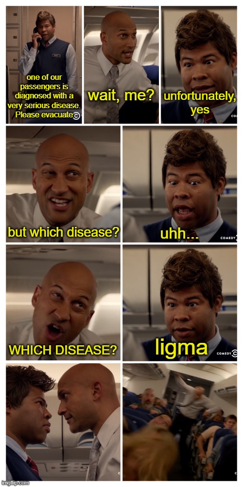 Key and Peele Argue Flight | one of our passengers is diagnosed with a very serious disease. Please evacuate; unfortunately, yes; wait, me? but which disease? uhh... ligma; WHICH DISEASE? | image tagged in key and peele argue flight | made w/ Imgflip meme maker