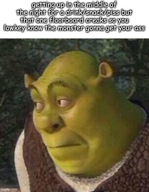 Shrek | getting up in the middle of the night for a drink/snack/piss but that one floorboard creaks so you lowkey know the monster gonna get your ass | image tagged in shrek | made w/ Imgflip meme maker