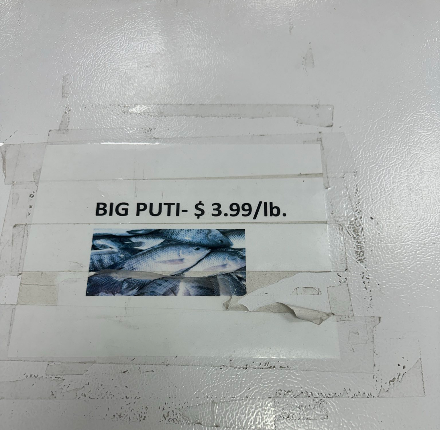 big puti Blank Meme Template