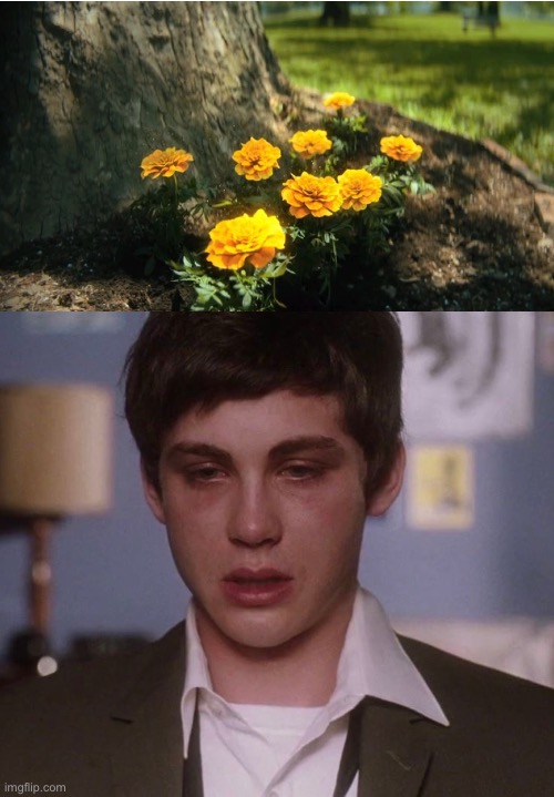 Me when this scene | image tagged in umbrella academy meme,charlie meme,tua | made w/ Imgflip meme maker