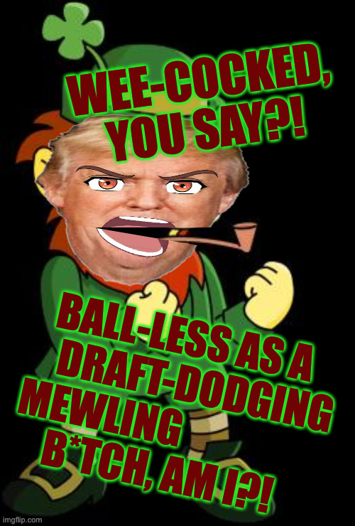 mean leprechaun | WEE-COCKED, YOU SAY?! BALL-LESS AS A
     DRAFT-DODGING
MEWLING                 
B*TCH, AM I?! | image tagged in mean leprechaun | made w/ Imgflip meme maker