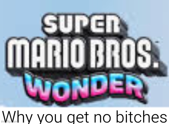 super mario bros wonder | Why you get no bitches | image tagged in super mario bros wonder | made w/ Imgflip meme maker