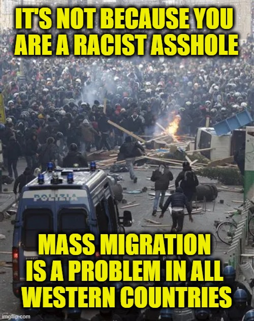 More Leftist Logic | IT'S NOT BECAUSE YOU 
ARE A RACIST ASSHOLE; MASS MIGRATION
IS A PROBLEM IN ALL
 WESTERN COUNTRIES | image tagged in globalism | made w/ Imgflip meme maker