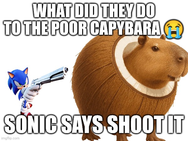 WHAT DID THEY DO TO THE POOR CAPYBARA 😭; SONIC SAYS SHOOT IT | made w/ Imgflip meme maker