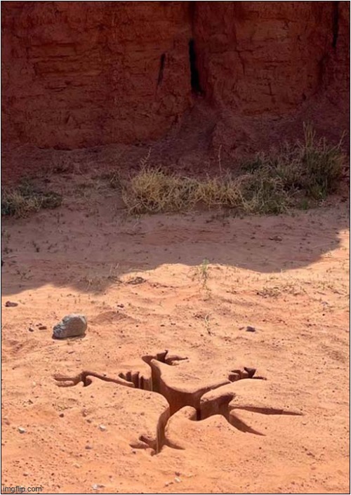 I Knew He Was Real ! | image tagged in wile e coyote,lives,crater | made w/ Imgflip meme maker