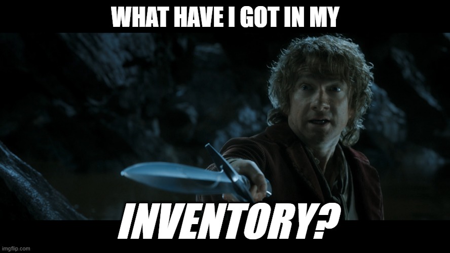 what have I got in my inventory? - bilbo | WHAT HAVE I GOT IN MY; INVENTORY? | image tagged in bilbo,lotr | made w/ Imgflip meme maker