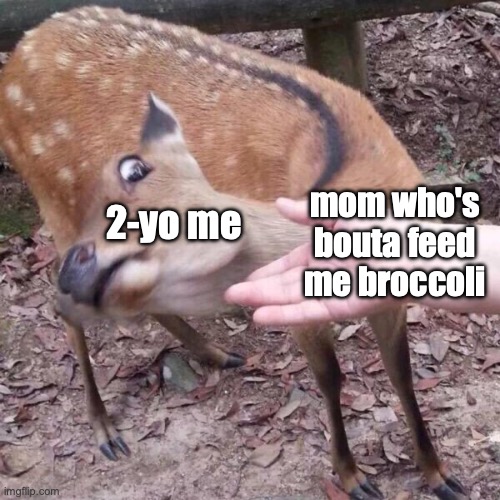 "nope I ain't gonna eat trees" ahh | mom who's bouta feed me broccoli; 2-yo me | image tagged in nope,funny,memes,broccolli,relatable,childhood | made w/ Imgflip meme maker
