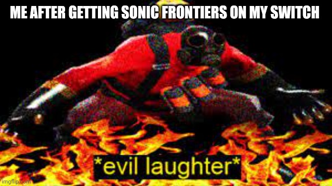 I don't give a crap I like both sega and Nintendo | ME AFTER GETTING SONIC FRONTIERS ON MY SWITCH | image tagged in evil laughter | made w/ Imgflip meme maker