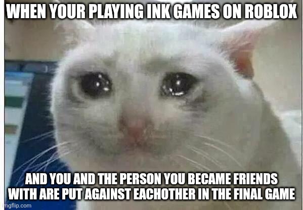 Pain | WHEN YOUR PLAYING INK GAMES ON ROBLOX; AND YOU AND THE PERSON YOU BECAME FRIENDS WITH ARE PUT AGAINST EACHOTHER IN THE FINAL GAME | image tagged in crying cat,roblox,roblox meme,squid game,pain,sadness | made w/ Imgflip meme maker