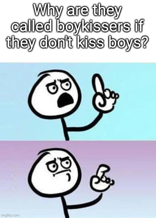 Good Point | Why are they called boykissers if they don't kiss boys? | image tagged in good point,boykisser,memes,funny,can't argue with that / technically not wrong,well he's not 'wrong' | made w/ Imgflip meme maker