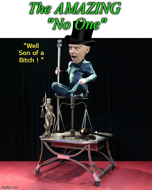 AND, his CAST OF THOUSANDS ! | The AMAZING
 "No One" | image tagged in biden no one above the law meme | made w/ Imgflip meme maker