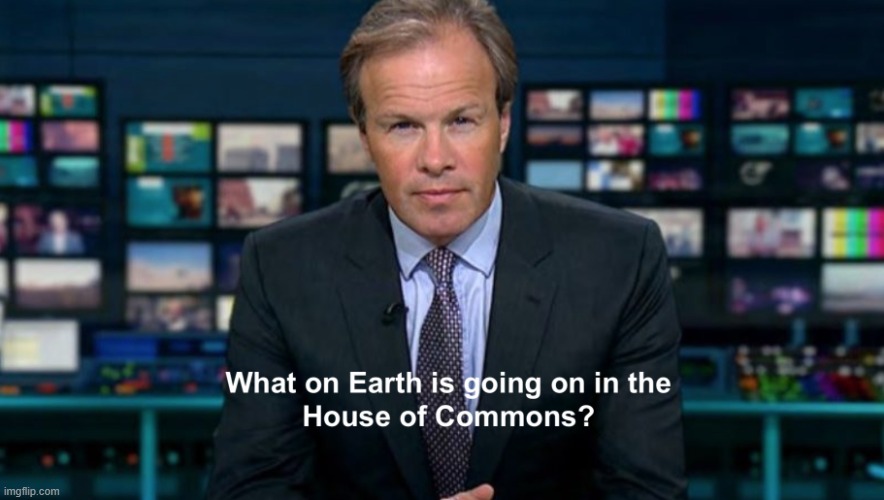 What on Earth is Going On in the House of Commons | image tagged in what on earth is going on in the house of commons | made w/ Imgflip meme maker