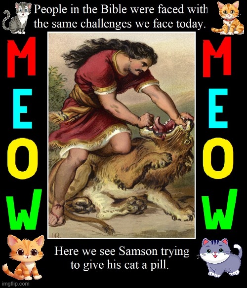 Forget Delilah; cats can make you pull out your hair. | image tagged in vince vance,cats,samson,lion,funny cat memes,bible | made w/ Imgflip meme maker