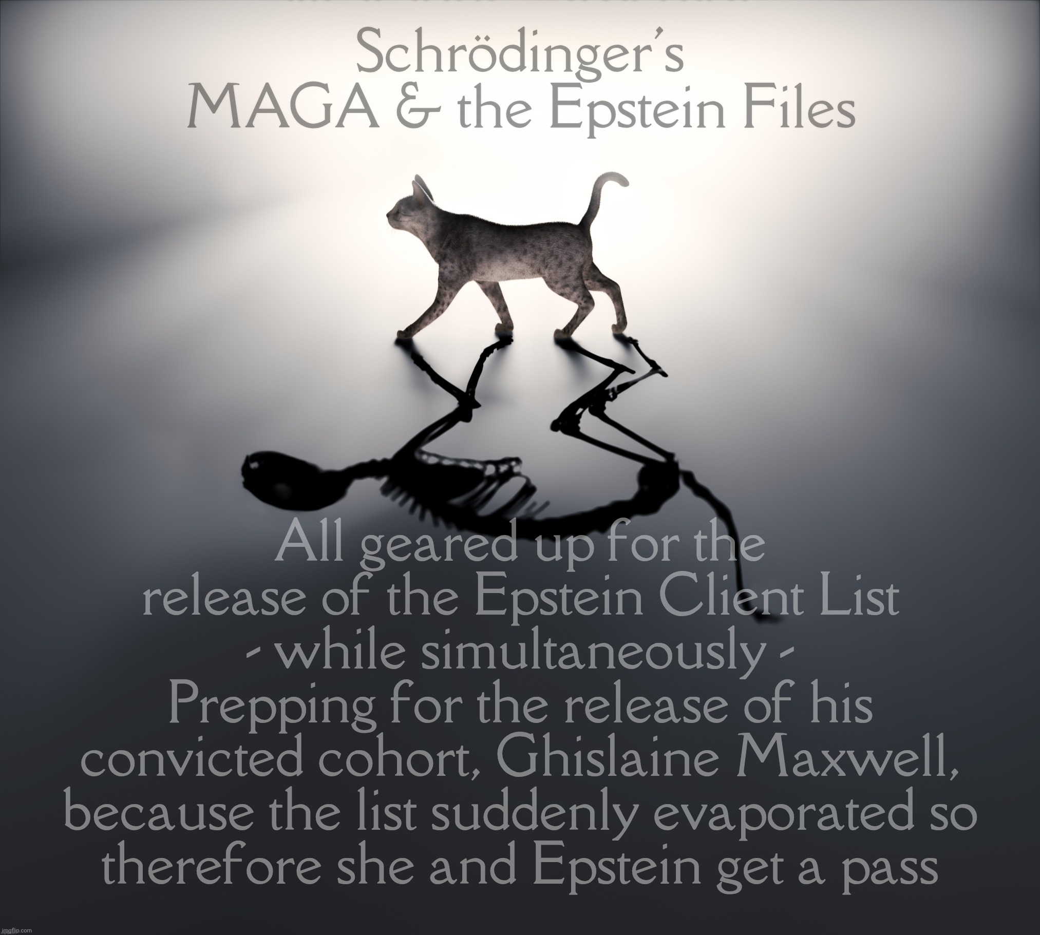 Schrodinger's Cat | Schrödinger's
MAGA & the Epstein Files; All geared up for the release of the Epstein Client List
- while simultaneously -
Prepping for the release of his
convicted cohort, Ghislaine Maxwell,
because the list suddenly evaporated so
therefore she and Epstein get a pass | image tagged in schrodinger's cat | made w/ Imgflip meme maker