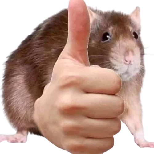 Thumbs up skaven Blank Meme Template