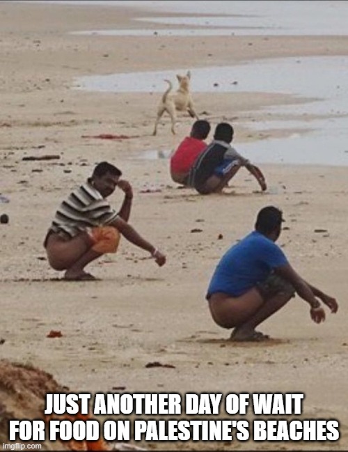 Waiting for Food | JUST ANOTHER DAY OF WAIT FOR FOOD ON PALESTINE'S BEACHES | image tagged in dark humor | made w/ Imgflip meme maker